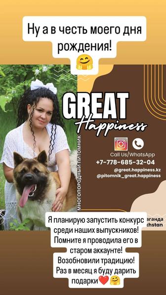 Невероятные щенки Американской Акиты