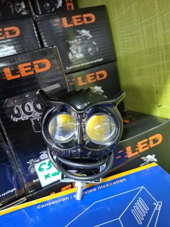 Led Үкі Ақ Сары