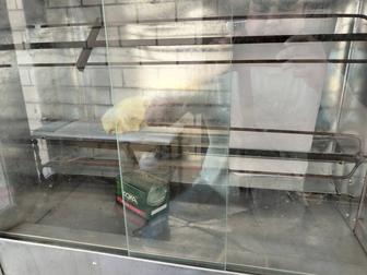 Продам аппарат для куры гриль. Аппарат рассчитан на 8 кур
Работает на газу