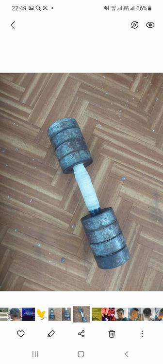 Гантел