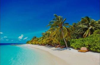 Ищу попутчицу на Новый год на Мальдивы