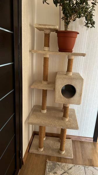 Домик для кота