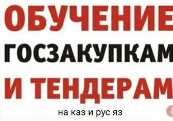 Провожу офлайн курс по обучению в тендерах