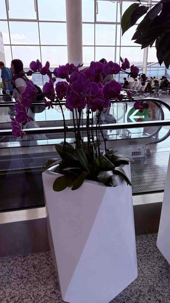 Услуги гида экскурсовода по городу Алматы