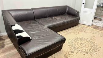Продам кожаный диван дешево !