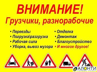 Уборка снега, перекидка угля, рубка дров