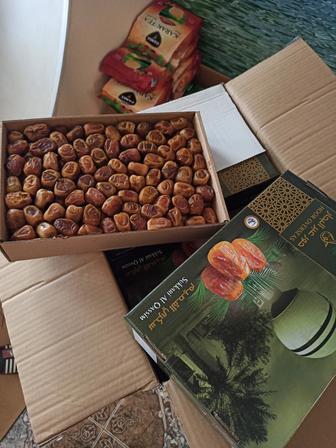 Финики Суккари