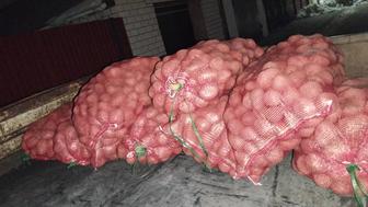 Продам картошку Гала для хранения
