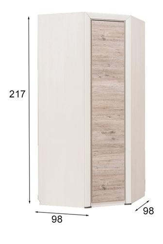 Распашной шкаф ANREX Оливия, 98/217/98