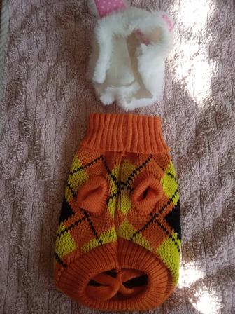 Костюмчик для питомца.