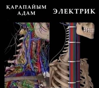 Электромонтаж любой сложности качественно и быстро
