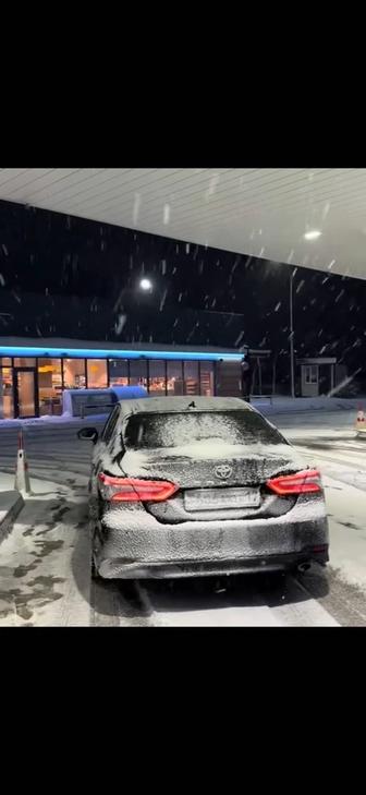 Трезвый водитель
