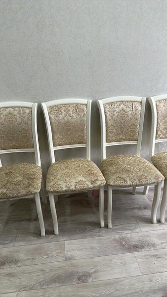 Продам стулья