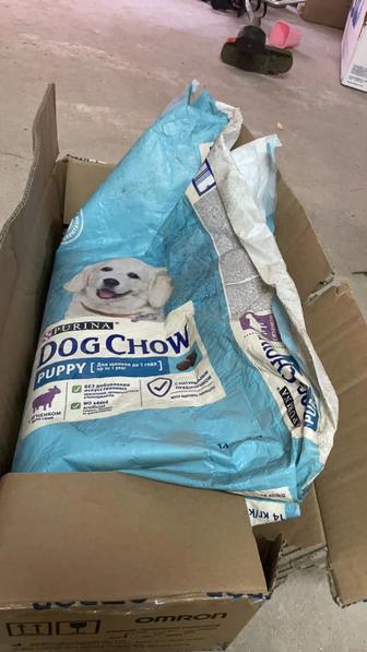 Корм дог чау dog chow для щенков