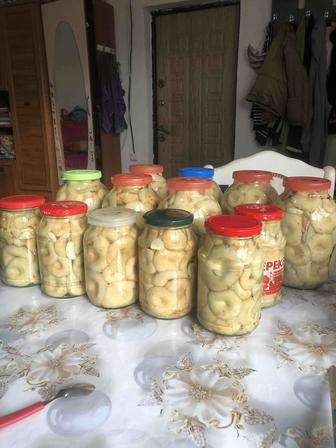 Продам грибы грузди