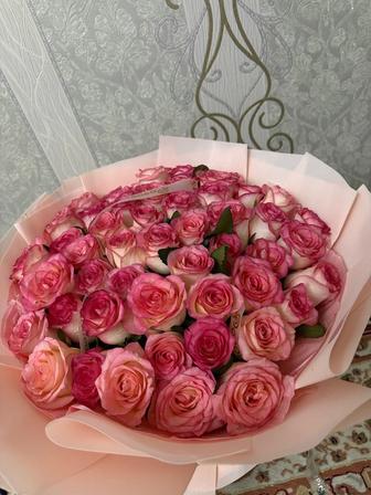 Продам цветы б/у