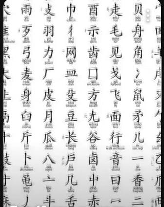 Срочный перевод с китайского языка . Устный . Письменный.