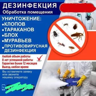 Дезинфекция