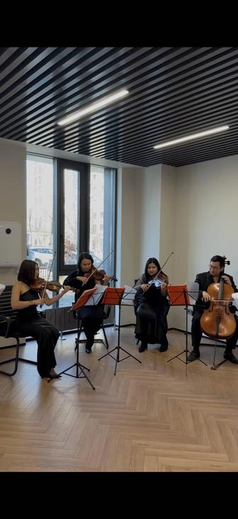 Струнный квартет и дует