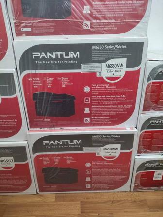 МФУ Pantum M6550NW