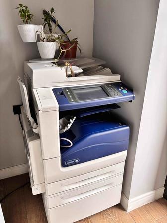принтер Xerox WorkCentre 7835