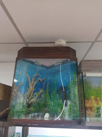 Аквариум угловой 35л