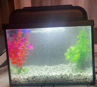 Продаю Аквариум с 6 рыбками