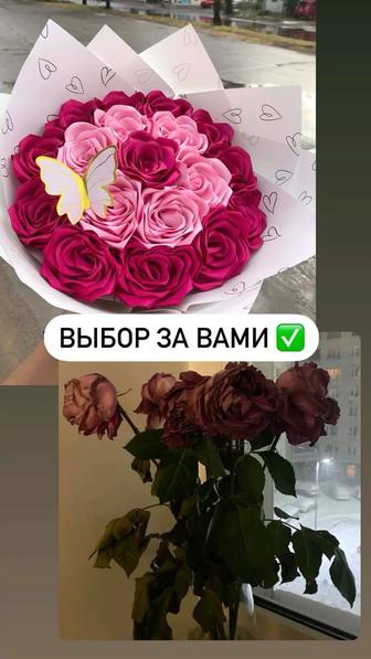 Розы