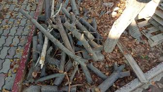 дрова от двух яблонь винограда куча