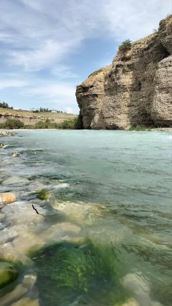 Выезды на природу