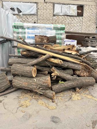 Продам дрова карагачь