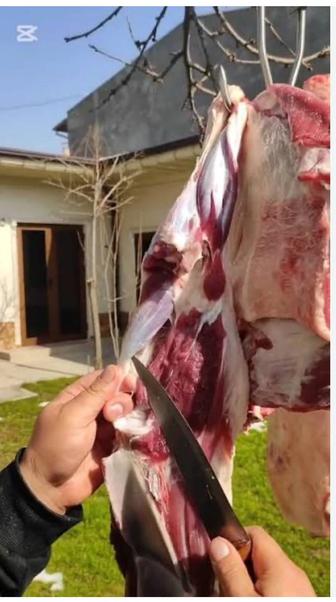 Касапшы, қасапшы, мясник, 4 түлік малды соямыз
