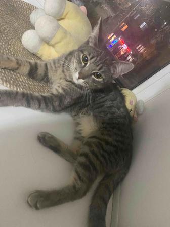 Лёня 7 месяцев Кастрат