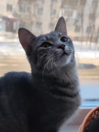 Лёня 7 месяцев Кастрат