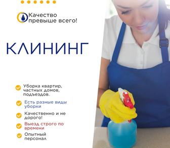 Уборка квартир, подъездов.Клининг.Химчистка.