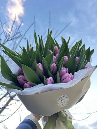 Тюльпаны! Букеты к 8 марта!