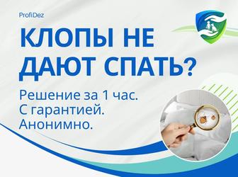 Дезинсекции от клопов уничтожение клопов