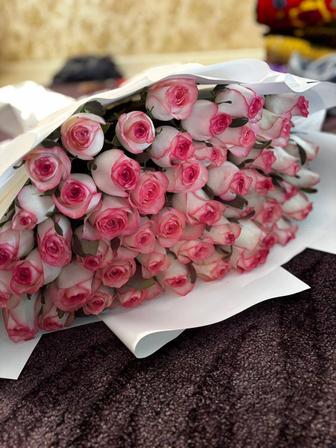 Продам роскошный букет из 51 розы