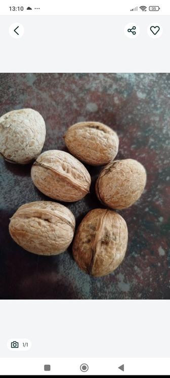 Орехи грецкие