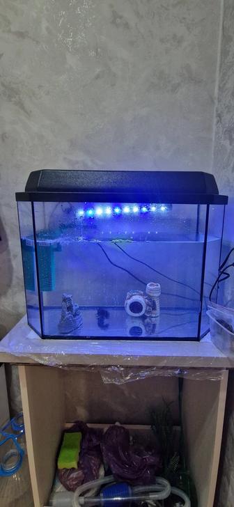 Продам аквариум с рыбками