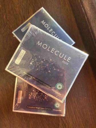 Molecule plus