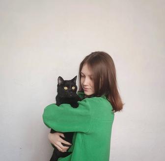 Передержка в квартирных условиях