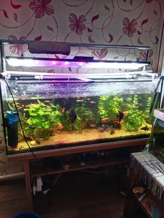 Продаю аквариум