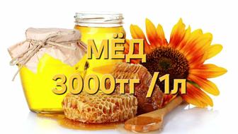 Мед подсолнечный