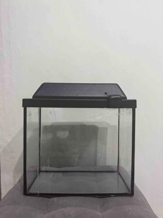 Продажа аквариума