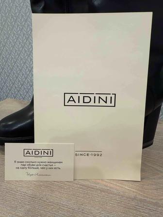 Сапоги AIDINI