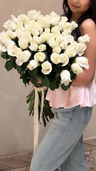 51 роза срочно продам