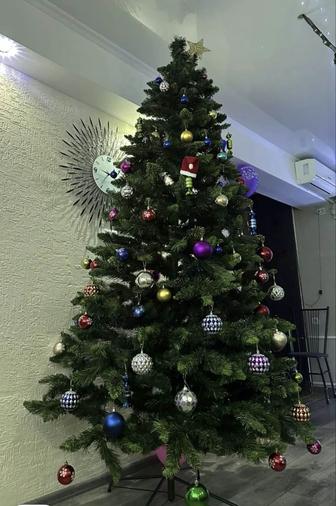 Продам елку