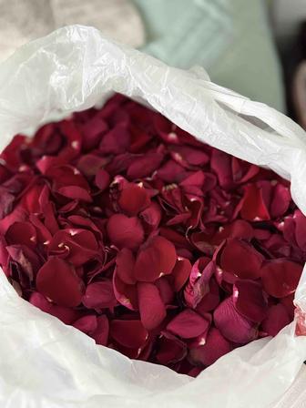 Продам красные лепестки роз