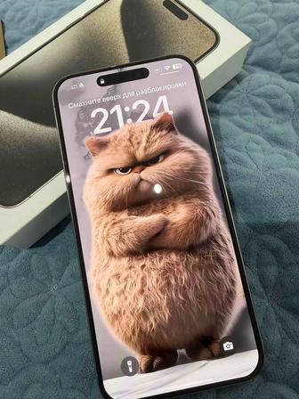 iPhone 15 Pro Max 256GB